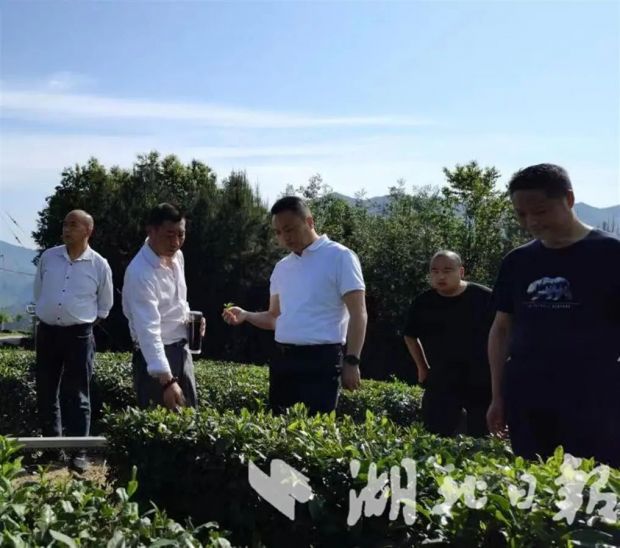 微信图片_20220706084407