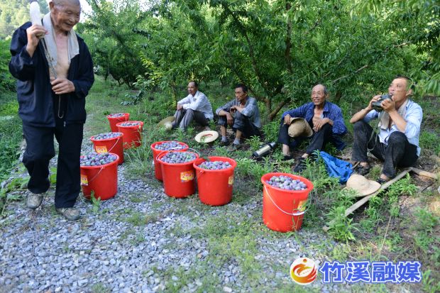 微信图片_20220706170156