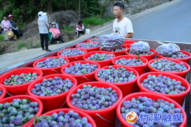 微信图片_20220706170204