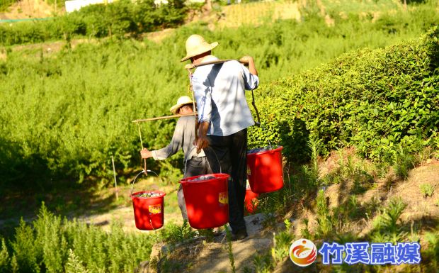 微信图片_20220706170230