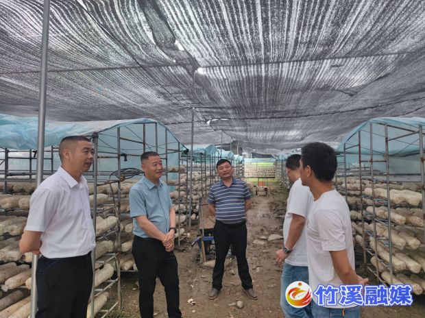 QQ图片20220707175418