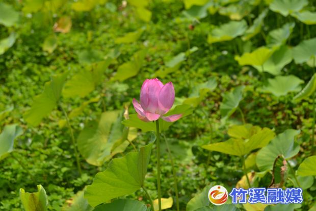 微信图片_20220711164433