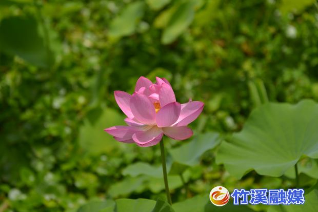 微信图片_20220711164437