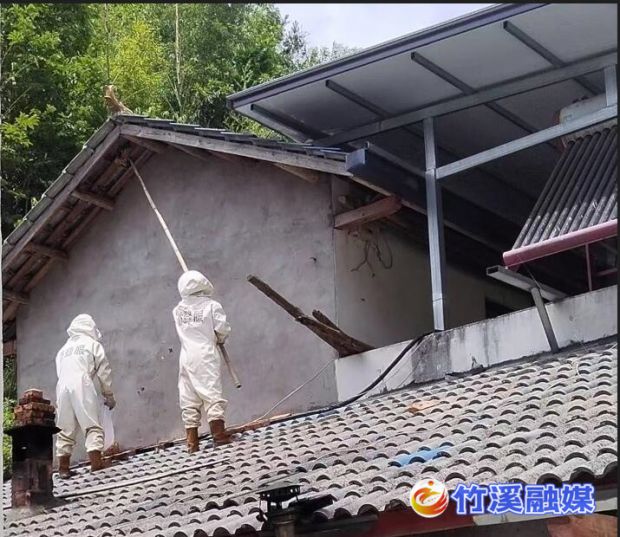QQ截图20220712094558
