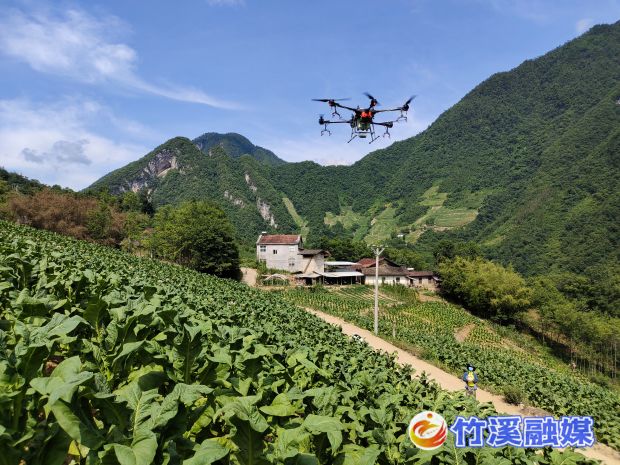 竹溪烟区无人机植保图3