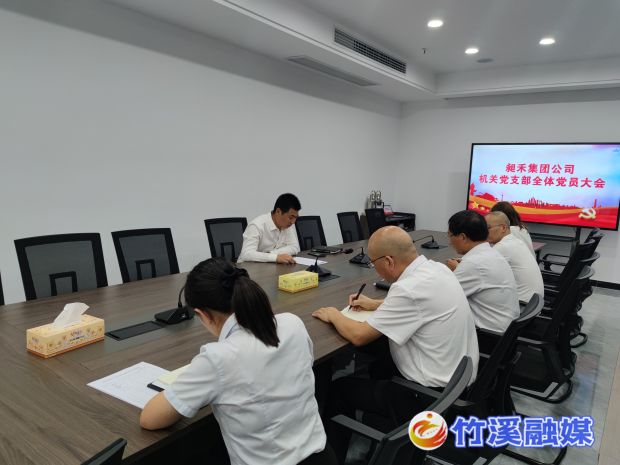 湖北昶禾集团机关党支部召开党员大会 (1)