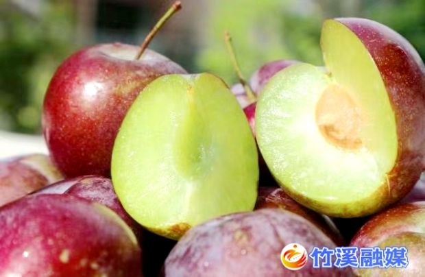 微信图片_20220810084714