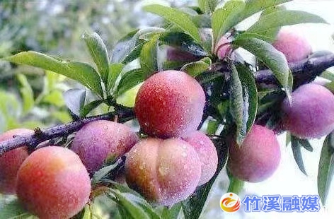 微信图片_20220810084724