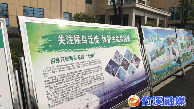 图片2