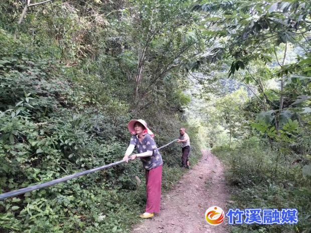 微信图片_20220812101015