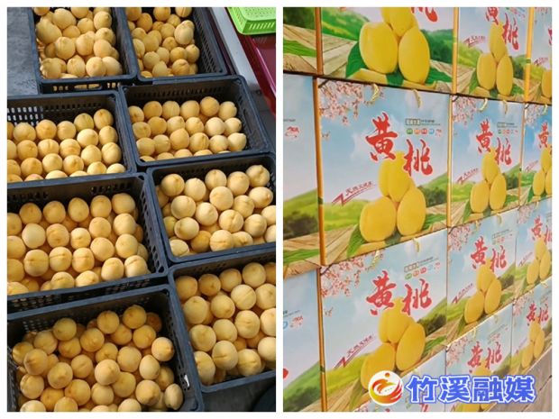 微信图片_20220819151801