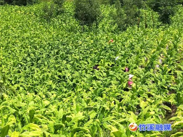 微信图片_20220821085929