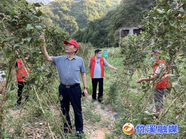 微信图片_20220822181644