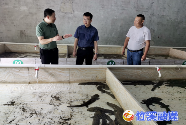 微信截图_20220825172947