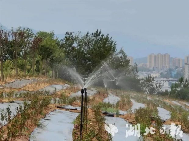 微信图片_20220829085457