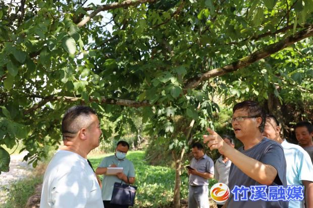 微信图片_202208290939067