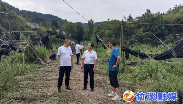 县残联负责人实地察看联系村因干旱受灾情况