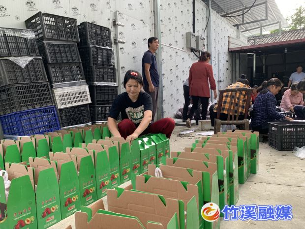 微信图片_20220905181732