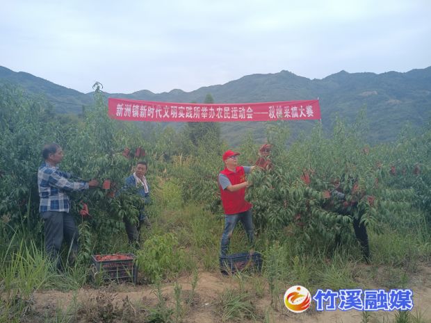 微信图片_20220908115902_proc