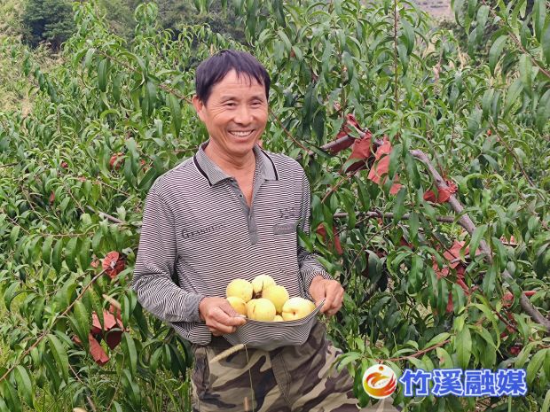 微信图片_20220908115937_proc