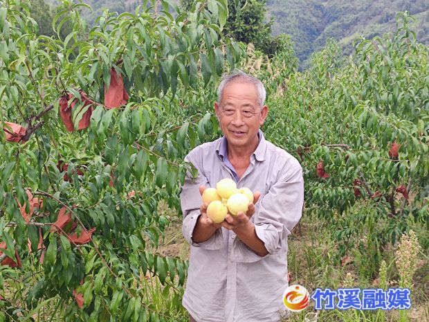 微信图片_20220908115944_proc