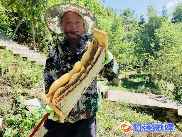 微信图片_20220909150405