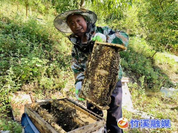 微信图片_20220909150400