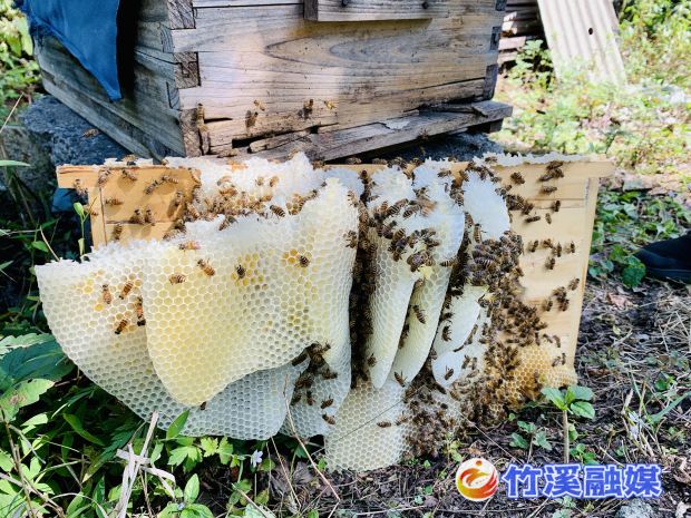 微信图片_20220909150438