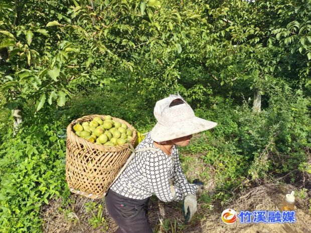 微信图片_20220917082903