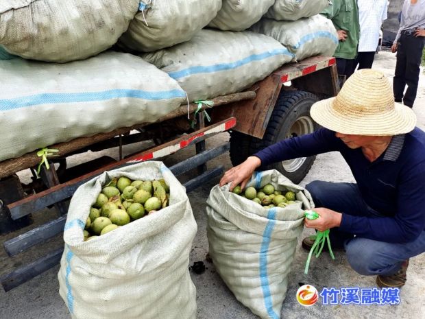 微信图片_20220917082909
