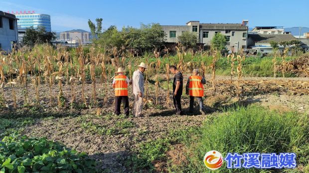 护林员下到田间地头_proc