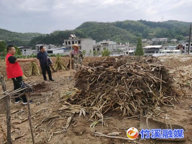 聘请无人机队伍巡查 (2)_proc