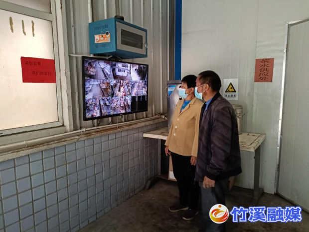 图片8