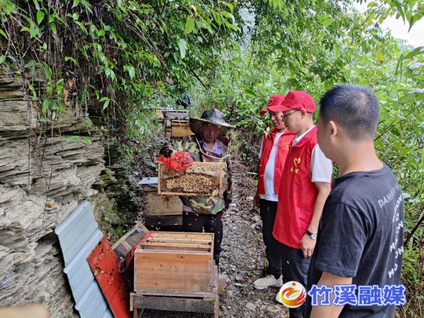 发展生态产业