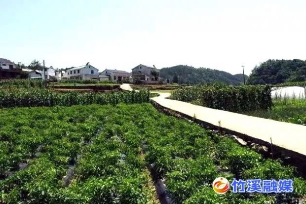 微信图片_20221204145737
