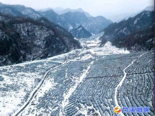 微信图片_20221206085245