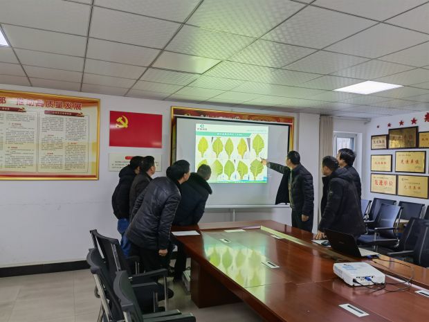 桃源烟叶站烟叶成熟判定学习(1)_proc