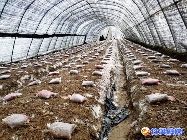微信图片_20221220133935