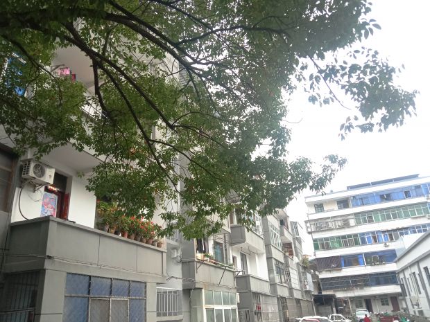 改造后的民居