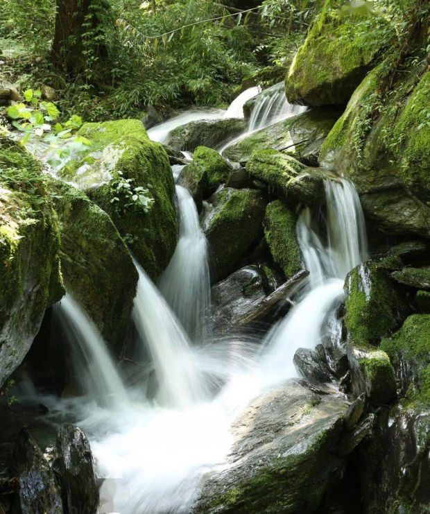 八卦山风景七