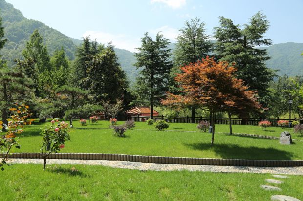 八卦山风景二