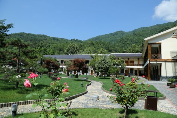 八卦山风景一