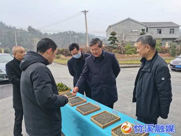 微信图片_20230216174134