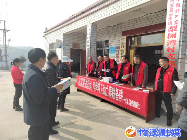 图片4