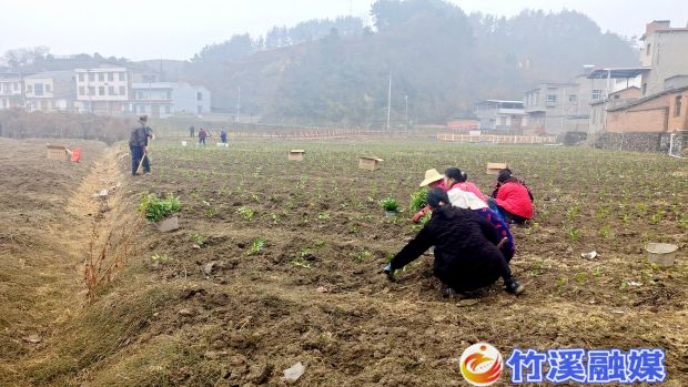 微信图片_20230301170424_proc