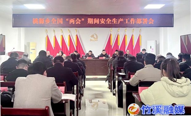 桃源乡全国“两会”期间安全生产工作部署会_proc