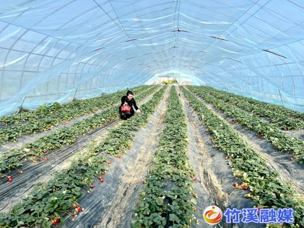 微信图片_20230306165248