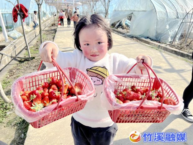 微信图片_20230306165309
