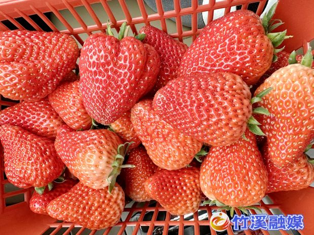 微信图片_20230306165346