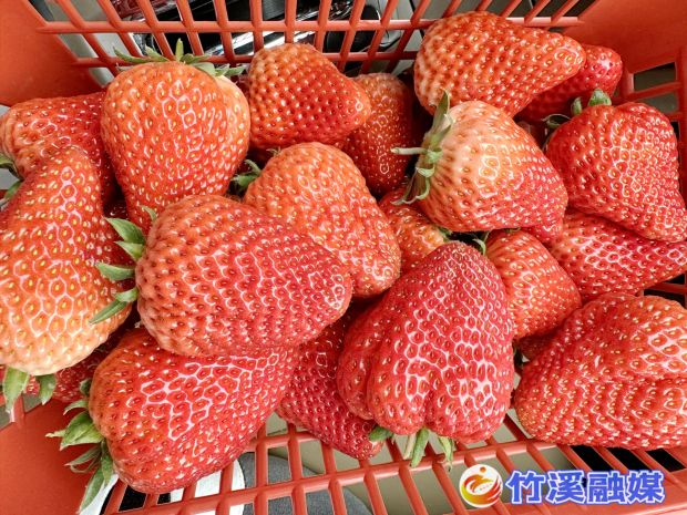微信图片_20230306165522